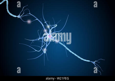 Cellula nervosa anatomia in dettagli. 3D illustrazione Foto Stock