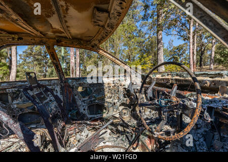 Interno del bruciato auto e vista della foresta Foto Stock