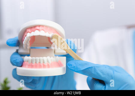 Dentista femmina spiegare circa la spazzolatura dei denti nella clinica, dente di ritegno spazzola denti e modello. Igiene dentale e salute con il concetto di esperti Foto Stock