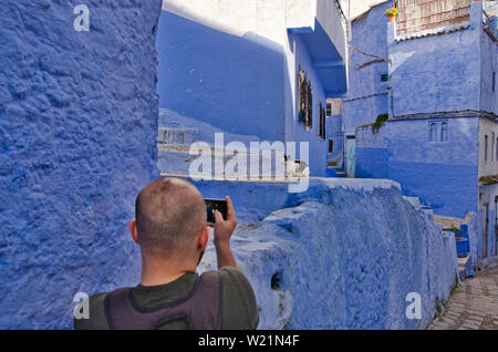 L'uomo prendendo la foto del gatto con lo smartphone Foto Stock