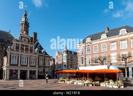 Il municipio con la chiesa di San Bavokerk, fiore stand Grote Markt, luogo di mercato di Haarlem, provincia Olanda Settentrionale, Olanda, Paesi Bassi Foto Stock