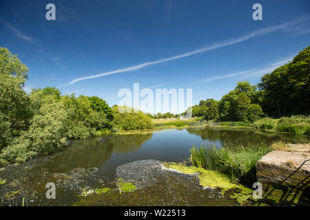 Una vista a valle del mulino piscina a Sturminster Newton mulino sul Dorset Stour fiume ai primi di luglio. Il Dorset England Regno Unito GB Foto Stock