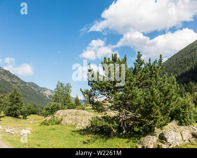 Panoramica del Aiguestortes e Sant Maurici National Park, strada del laghetto di Sant Maurici, nella provincia di Lleida, Catalogna, Spagna Foto Stock