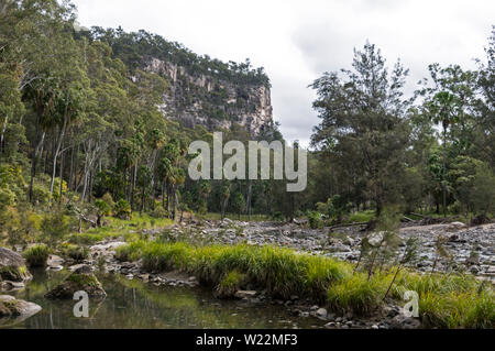 Le alte scogliere di arenaria sopra Carnarvon Creek nella foresta di eucalipti nell'Carnarvon Gorge National Park negli altipiani centrali del Queensland ho Foto Stock