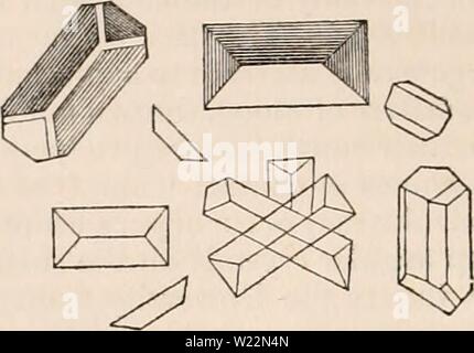 Immagine di archivio da pagina 101 della encyclopaedia - Wikizionario di anatomia e Foto Stock