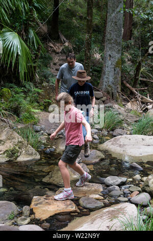 Una famiglia australiana attraversando un piccolo ruscello con pietre miliari vicino al Giardino di muschio entro il Carnarvon Gorge National Park nel centro di Hi Foto Stock