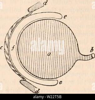 Immagine di archivio da pagina 109 della encyclopaedia - Wikizionario di anatomia e Foto Stock