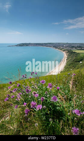 Swanage Bay dal sentiero costiero su Ballard giù, Dorset, Regno Unito Foto Stock