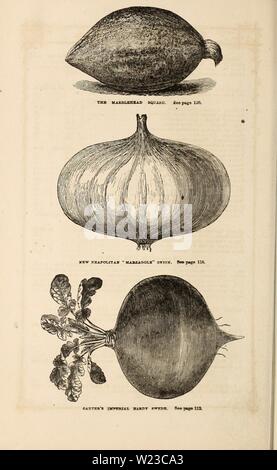 Immagine di archivio da pagina 153 di Curtis, Cobb & Washburn sia dilettante. Curtis, Cobb & Washburn del coltivatore amatoriale guida il fiore e cucina giardino per 1878 curtiscobbwashbu1878curt Anno: 1878 Foto Stock