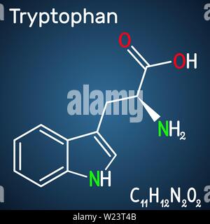 Triptofano, Trp o W amminoacido molecola, è utilizzato nella biosintesi delle proteine. È necessario per la crescita di neonati e di equilibrio di azoto in un Illustrazione Vettoriale