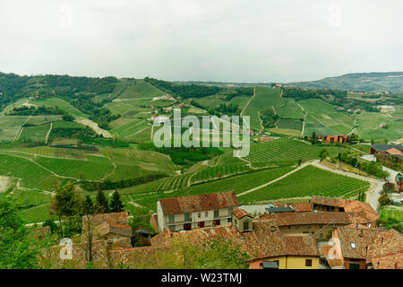 Serralunga di Alba vigneti, casa del Barolo vini, a molla Foto Stock