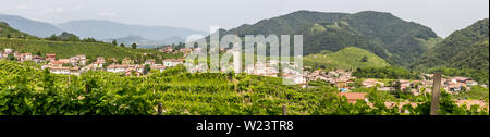 Pittoresche colline di vigneti del Prosecco spumante, regione a Valdobbiadene, Veneto, Italia. Foto Stock