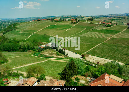 Piemonte vigneti a fine aprile, antenna shot Foto Stock