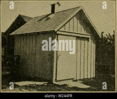 Immagine di archivio da pagina 204 di allevamento di animali da latte (1916) Foto Stock