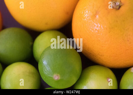 Close-up di arance e limoni Foto Stock