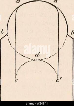 Immagine di archivio da pagina 214 della encyclopaedia - Wikizionario di anatomia e Foto Stock