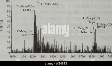 Immagine di archivio da pagina 217 di dan bai zhi hua xue. dan bai zhi hua xue yu dan bai zhi zu xue danbaizhihuaxuey00xiaq Anno: 2004.4 ae£aeµå°ä'T1ä'-ç±"ä¼¼çMetae®åºae°§åç°è±¡ã å¾10.20aae¾ç¤ºäºç³è½T1çç³ååå'ae åµï¼å¾10.20bae¾ç¤ºäº Tl-GlcNAczMangåç³ è½çae°§åae åµãç±äºå¨Tl-GlcNAc2Man8åç³è½ï¼S1CCTNGdSLPM1GNGM13CYK16)ä'-å" aeMetiGåMeti3ä'¤ä'ªMetae®åºï¼aeä"¥å®äº§çäºä'¤ç§ä'åçae°§åå½¢å¼ï¼å³ä'ä'ªMetae®åºè¢" ae°§åçå½¢å¼(T1-GlcNAc2uomo8-0)åä'¤ä'ªMetae®åºåae¶è¢"ae°§åçå½¢å¼ï¼Tl-GlcNAcaMang- 20)0 100 90 803 70 60 50 403 30 20 10 0 1214.6 3+ uomo? 1160.3 3+ 3+ Uomo Uomo65 '106.5 1053?4 ã 3+ Man 8 Tl-GlcNAc-Manâ 2+ Man8 1821.1 1311.7 Foto Stock