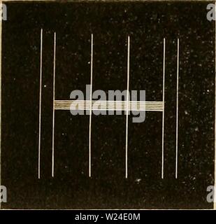 Immagine di archivio da pagina 232 di Das mikroskop Theorie, gebrauch, geschichte. Das mikroskop. Theorie, gebrauch, Geschichte und gegenwärtiger zustand desselben dasmikroskoptheo00hart Anno: 1859 Richtung des Lichtes. 207 . können, wenn divergirende Strahlen (Fig. 103.) auf seine Oberfläche treffen, weil dann die auffallenden schief Strahlen stärker gebrochen oder reflec- Fi&LT;?. 102. ' ' Ficr. 103. Foto Stock