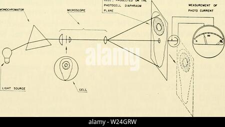 Immagine di archivio da pagina 241 della citologia (1961) Foto Stock