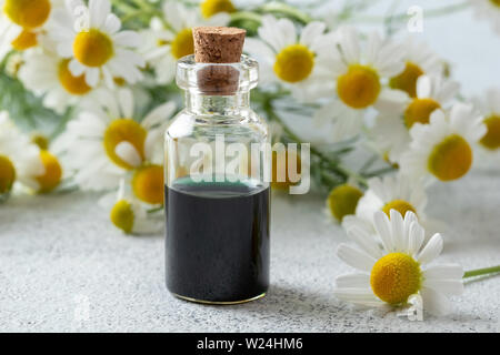 Una bottiglia di colore blu scuro tedesco camomilla olio essenziale e fiori freschi su uno sfondo luminoso Foto Stock