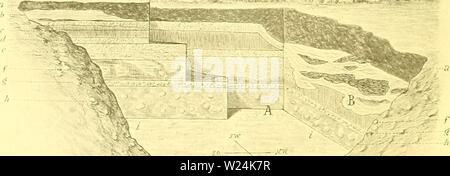 Immagine di archivio da pagina 1055 di Denkschriften - Österreichische Akademie der. Denkschriften - Ãsterreichische Akademie der Wissenschaften denkschriftens681900akad Anno: 1850 872 n Ahcl, 1 II. ISiirmcisUr, Uii siiiin.ctK-. .IikhiIhhis, .1 iitwiy|'-cif Zciih'l'itlo'iliiliic. Annali e inanu/.lns di storia naturale. v..|. VII. l. scr., l.ofulDii IK7I, p. .'Il, pl. I. "â â ¢ (&GT;. V. Arthabcr, Ãber Trioiiyx roslrnliis von Au am l.eillmgebirBC. licIlrÃKC zur Geol. und Pal. Ãslcrr.-Uiig. u. d. Orienta, IUI. XI. Wien IHDS, p. C&GT;0. Ob das vorlie.nencle .Sliick, welches sich in der palHconlo Foto Stock