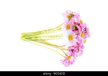 Colorato piccolo bouquet di margherite di gara. Foto Foto Stock