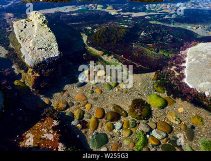 Pietre sul fondo di una spiaggia rocciosa Foto Stock