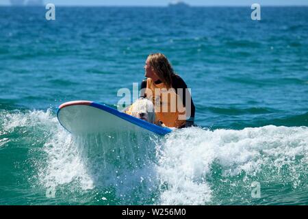 Cane evento surfing in Huntington Beach, CA Foto Stock