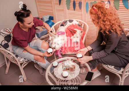 Donna di mangiare i tortini. I proprietari di amorevole di adorabili cani bianchi di mangiare i tortini che festeggiano il loro compleanno Foto Stock
