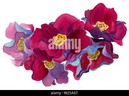 Acquerello disegnata a mano serie di fantastici con fiori rosa e petali di colore rosso, blu e viola, isolati su sfondo bianco. Design per decorazioni per matrimoni. Foto Stock