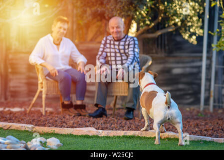 Immagine positiva di felice seniors giocando nel cane. Messa a fuoco selettiva su pet. Foto Stock