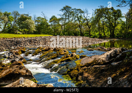 Regno Unito, Cumbria, York, Millthrop. Rawthey sul fiume che scorre sopra la roccia sulla curva con deposizione di roccia Foto Stock