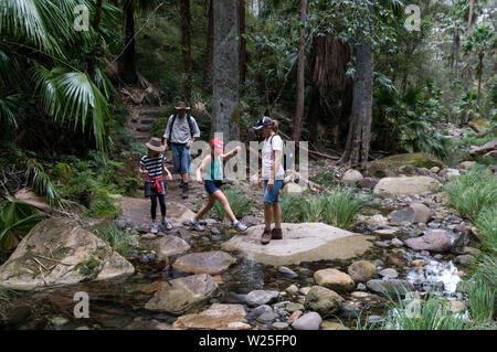 Una famiglia australiana attraversando un piccolo ruscello con pietre miliari vicino al Giardino di muschio entro il Carnarvon Gorge National Park nel centro di Hi Foto Stock