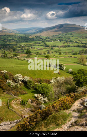 Regno Unito, Cumbria, York, Settlebeck Gill vista da Dales alta via via verso Garsdale Foto Stock