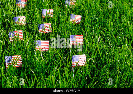 Bandierine americane sull'erba verde. Foto Studio Foto Stock