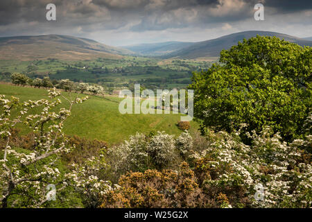 Regno Unito, Cumbria, York, Settlebeck Gill, vista in elevazione da Dales alta via via verso Garsdale Foto Stock