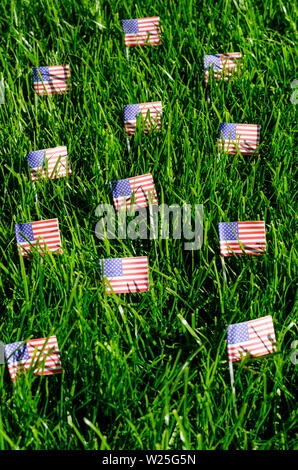 Bandierine americane sull'erba verde. Foto Studio Foto Stock