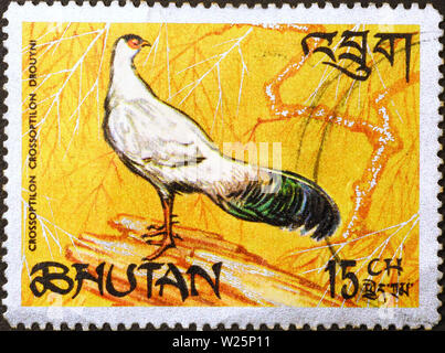 Bella fagiano sul francobollo del Bhutan Foto Stock