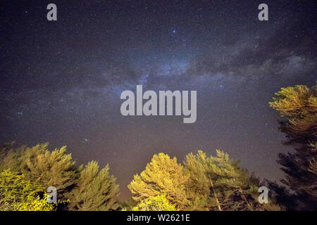 Cielo stellato con via lattea visto dalla montagna attraverso gli alberi nella foresta Foto Stock