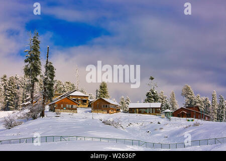 Una coperta di neve paesaggio, Gulmarg, Kashmir India Foto Stock