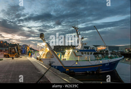 La città di Cork, Cork, Irlanda. 05 Luglio, 2019. Prima dell'alba su una tranquilla mattina d'estate l'equipaggio di un peschereccio da traino Atlantic Rose, scaricare le loro reti al w Foto Stock