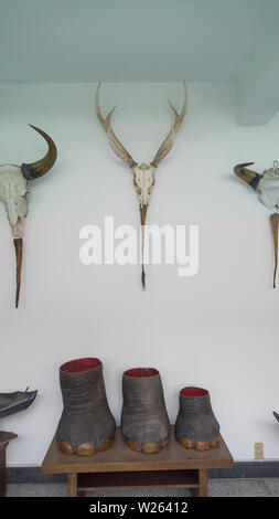 Piedi di elefante e trofei di caccia all'ex palazzo presidenziale o Palazzo della Riunificazione nella città di Ho Chi Minh (Saigon) Vietnam Foto Stock