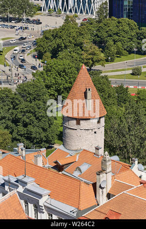 TALLINN, Estonia - Luglio 07, 2017: Centro di architettura del centro storico della città di Tallinn in Estonia. Foto Stock