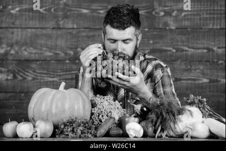 Uomo Barbuto detiene uve sfondo di legno. Contadino con homegrown messe sul tavolo. Verdure raccolto organico. Agricoltore orgogliosi del raccolto di ortaggi e uva. Agricoltura e concetto di raccolta. Foto Stock