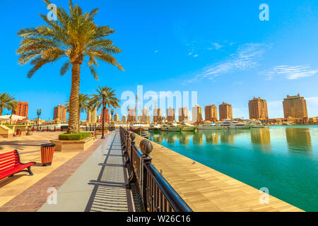 Panche e palme lungo la marina lungomare Corniche in Porto Saudita all'Pearl-Qatar, Doha, con edifici residenziali torri sullo sfondo Foto Stock