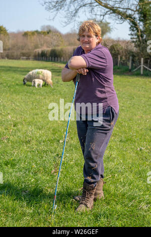 Inglese pastorella rimase con uncino durante la stagione figliando Foto Stock