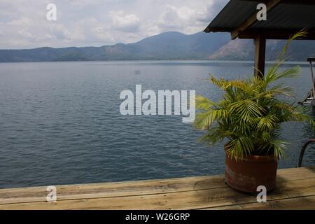 Felce tropicale sul molo di legno della costa di il mare con colline sullo sfondo Foto Stock