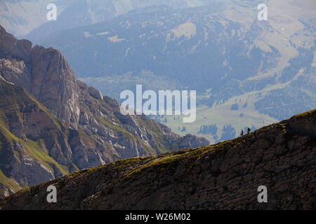 Swiss alpes vista dal Säntis picco Foto Stock