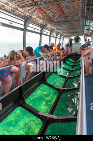 Barca Glass-Bottom spento verde isola, a Coral Cay nella Great Barrier Reef Marine Park, Queensland, Australia Foto Stock