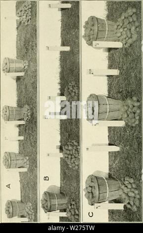 Immagine di archivio da pagina 41 del bollettino di servizio (1923-1929). Dipartimento bollettino departmentbul11261150Unità Anno: 1923-1929. Bui. 1126, U. S. Dipartimento di Agricoltura. Piastra IV. Foto Stock